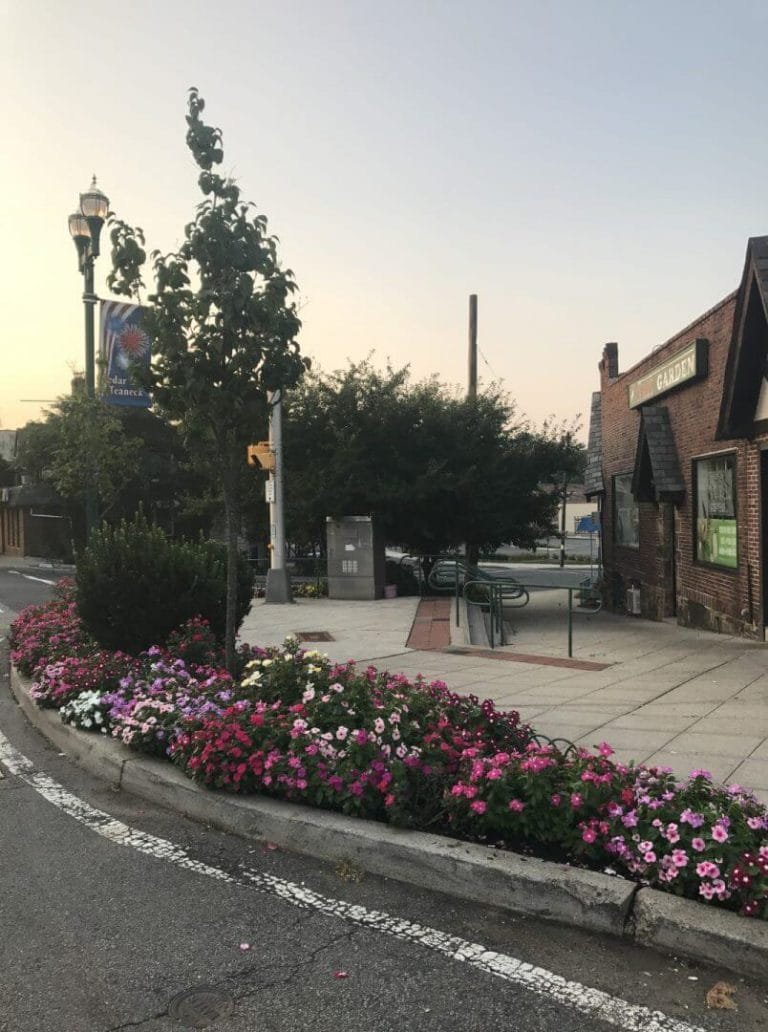 Cedar Lane District, NJ - Home | Cedar Lane Management Group Teaneck New Jersey